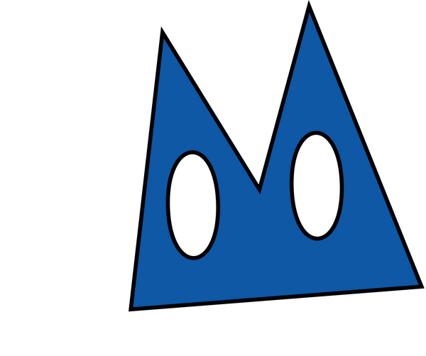 Misfit Boarders